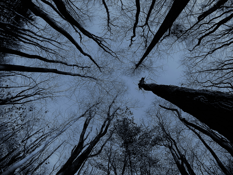 Illustration for article titled Hiking near my house